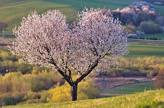 sturm hagel