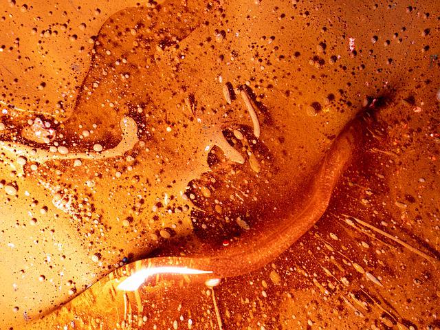 Arena Hamburg Hostel