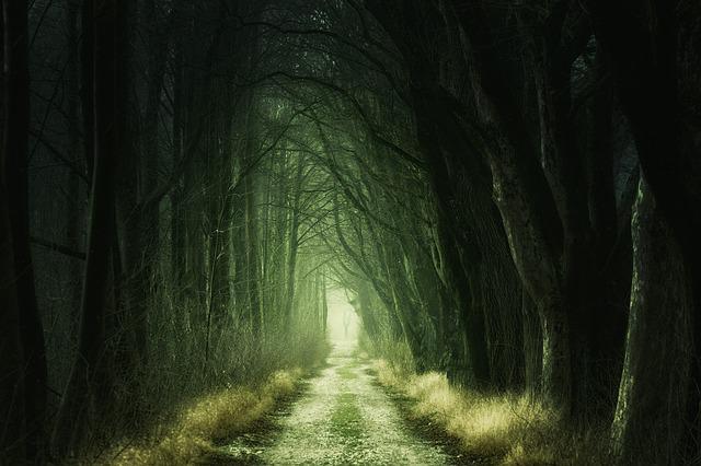 empfangstheke