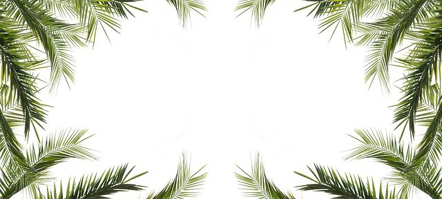 got_4